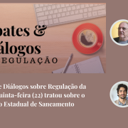 Paim e Souza apresentaram o PLANESAN no evento online.